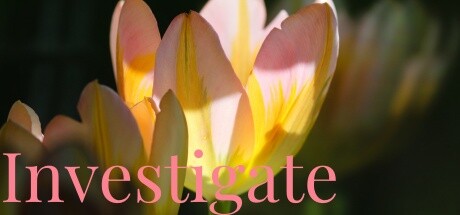 Investigate Icon