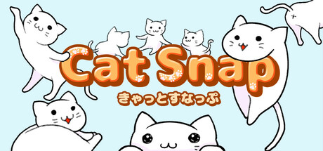 CatSnap Icon