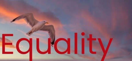 Equality Icon