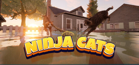Ninja Cats Icon