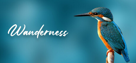 Wanderness Icon